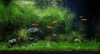 Rataj Volcano Black 8l - 4