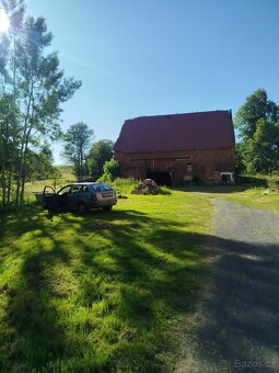 Pronájem - 4