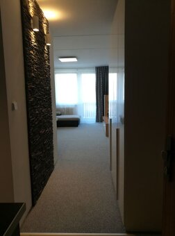 Pronájem bytu 1+kk, 31 m2, lodžie, rekonstrukce - 4