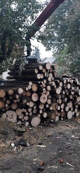 Nabízím palivové dřevo měkké, tvrdé... - 4