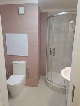 Pronajmu byt 2kk po rekonstrukci - 4