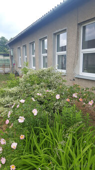 Pronájem komerčního objektu v Mohelnice - 4