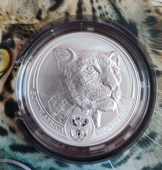 Big Five II - Buffalo, Rhino, Leopard - 4