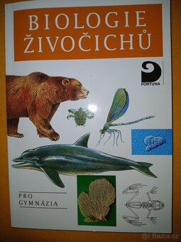 Přírodní vědy - 4