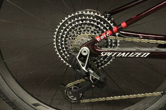 2024 Specialized S-WORKS Epic WC Large L 29" - 4