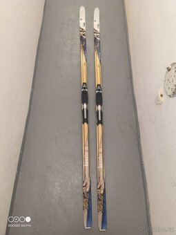 Běžky Sporten Forester 60 délka 200cm včetně vázání - 4