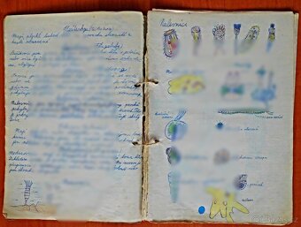 Libor Vojkůvka-malířův škol.sešit zoologie ze 6. A ,rok 1959 - 4