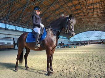 Top Pony kobylka - 4