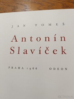 Kniha Antonín Slavíček autor: Jan Tomeš - 4