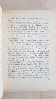Josef Roden: Irčin románek - 4