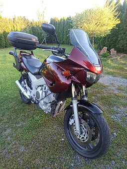 Yamaha TDM 850 R.V.1999 - 4