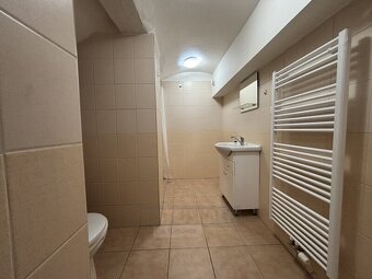 Pronájem bytu 1+1 41m², České Budějovice - 4