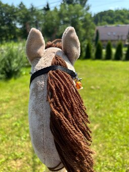 Hobby horse - 4