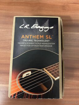 L.R. Baggs Anthem-SL - 4