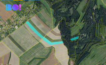 Prodej pole, 61919 m², Plinkout - 4