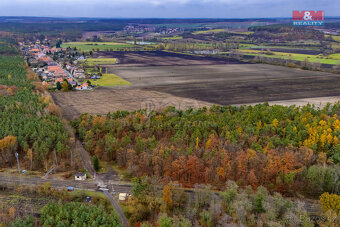 Prodej lesa, 6436 m², Lysá nad Labem - 4