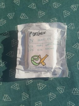 pokémoni všech druhů - 4