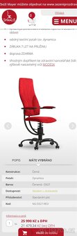 zdravotní kancelářská židle Spinalis Navigator - 4