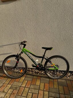 Rock Machine Surge 24” - 4