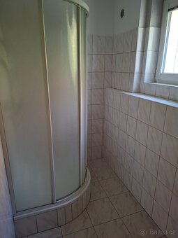 Pronájem bytu - 4