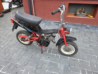 MOKIK Babetta - STELLA riga /1/ - 4