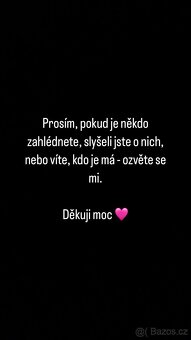 Hledám Kocoury - 4