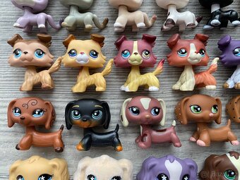 LPS pejsci a kočičky NOVÉ - 4