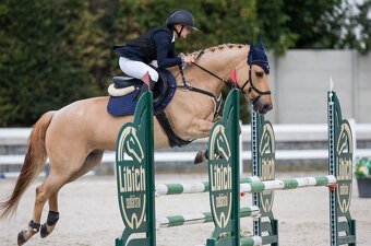 TOP pony na prodej - 4