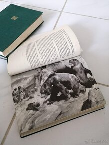 Augusta Josef - Divy prasvěta - 4