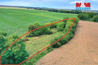 Prodej lesa, 1302 m², Velké Všelisy - 4