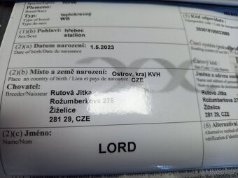Valach po Lupo - 4