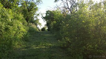 Prodej zahrady v Brně - 4