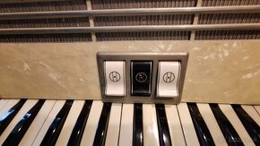 Akordeón HOHNER Tango IM - 4