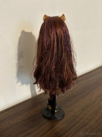 Sweet 1600 monster high - 4