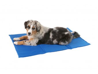 Chladící podložka pro psy - 4