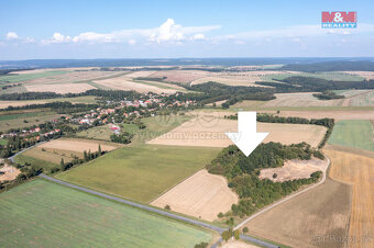 Prodej lesa, 9132 m², Panoší Újezd - 4