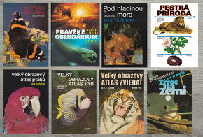 Příroda, rostliny, zvířata, hmyz a houby - 4