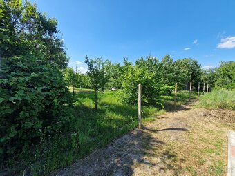 Zahrada Hozloky 711 m2 - 4