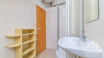 Pronájem bytové jednotky 1+kk, 20 m², Staré Město - Brněnská - 4