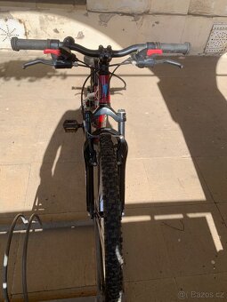 Kona Hula - 4