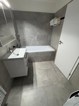 Prodej novostavby 1,5+kk  Kamechy - 4