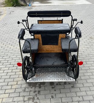 Wagoneta pony - 4