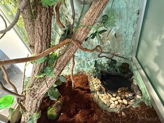 Terárium 120x86cm - 4