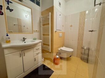 Pronájem bytu 2+1 59 m², Velké Opatovice, ev.č. N08584 - 4