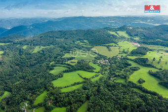 Prodej pastviny s lesním pozemkem 22.174 m² v Homoli u Panny - 4