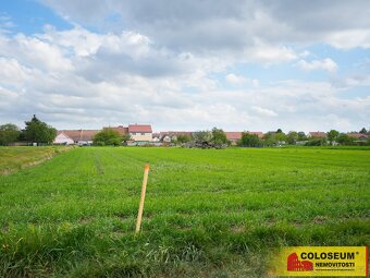 Brod nad Dyjí - pozemek 2.647 m2 - pozemek - 4