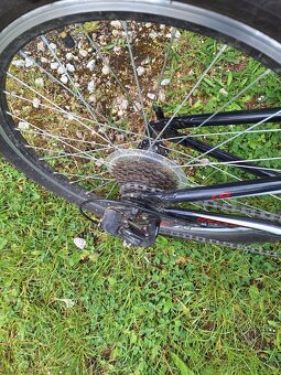 Kross Hexagon 24 + helma při rychlém jednání sleva - 4