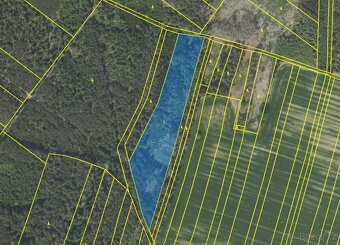 Lesní pozemek k.ú. Domašín 12.876m2 - 4