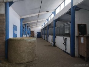 Ustájení koní , jízdárna, pastva , Kolín - 4