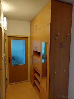 Pronajmu byt 2+1 - 4